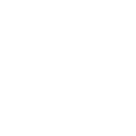 Grues à Vendre